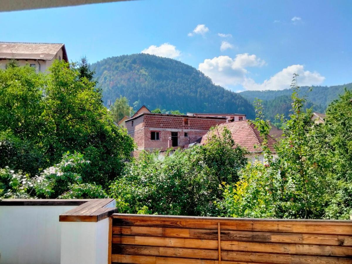 Casa Scheiana Bed & Breakfast Brasov Exterior photo