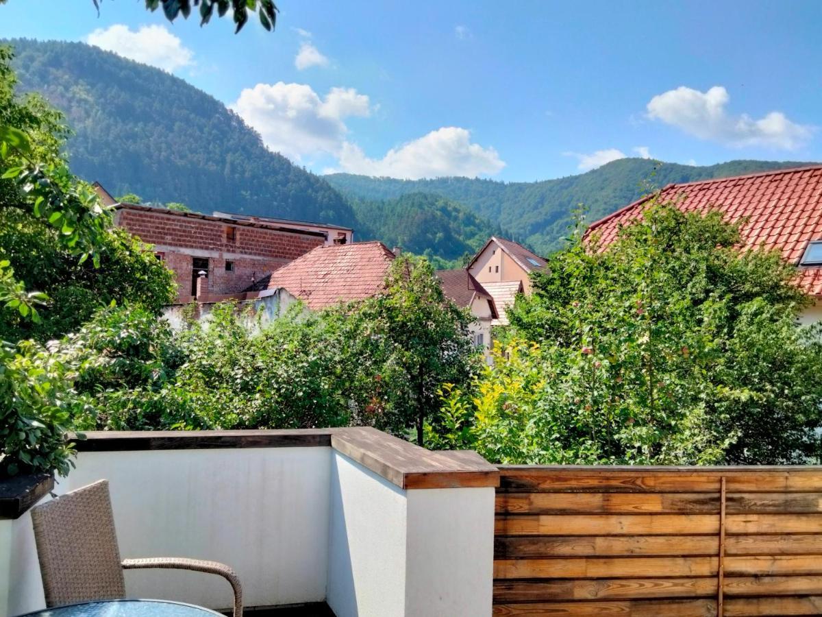 Casa Scheiana Bed & Breakfast Brasov Exterior photo