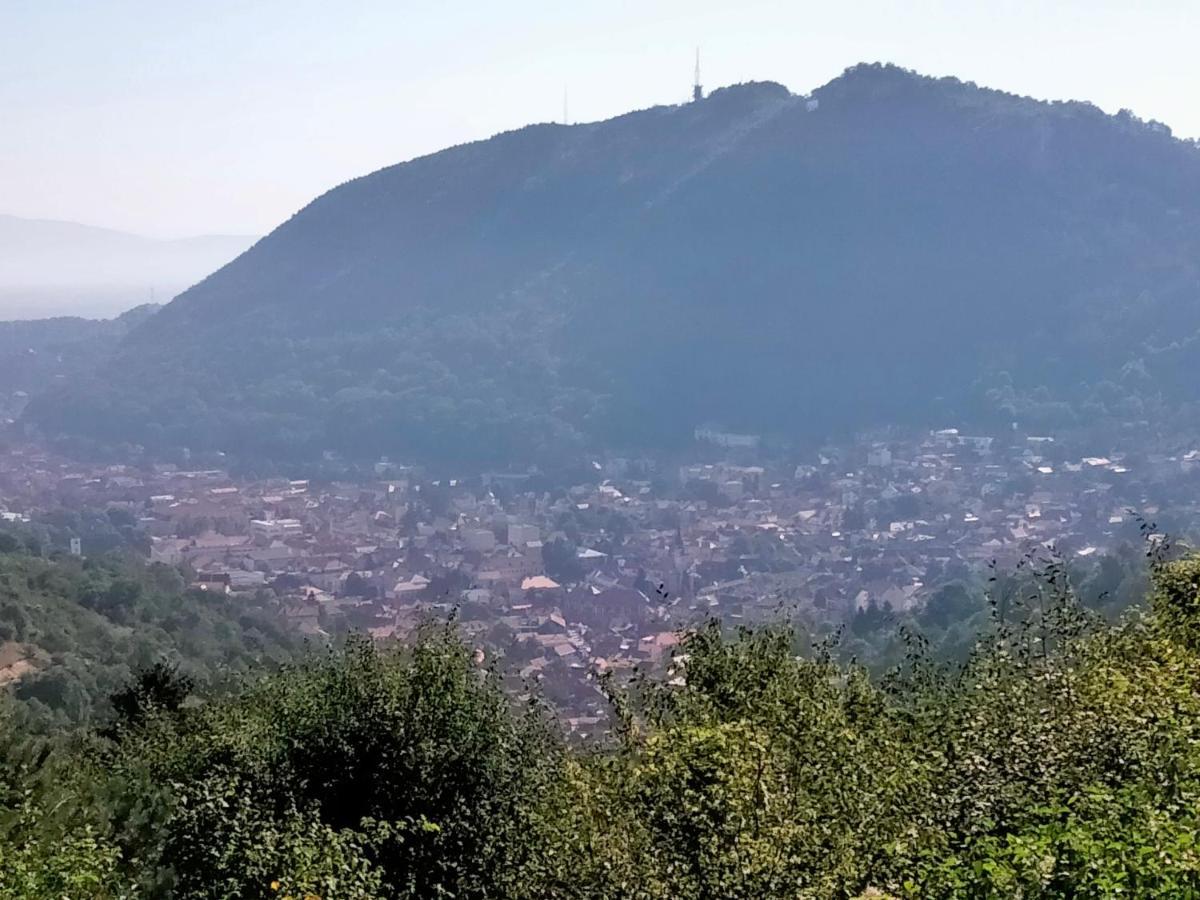 Casa Scheiana Bed & Breakfast Brasov Exterior photo